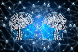 kaiyun官方网站-篮球专项技能动作视频资源开发及多媒体教学，篮球动作技术