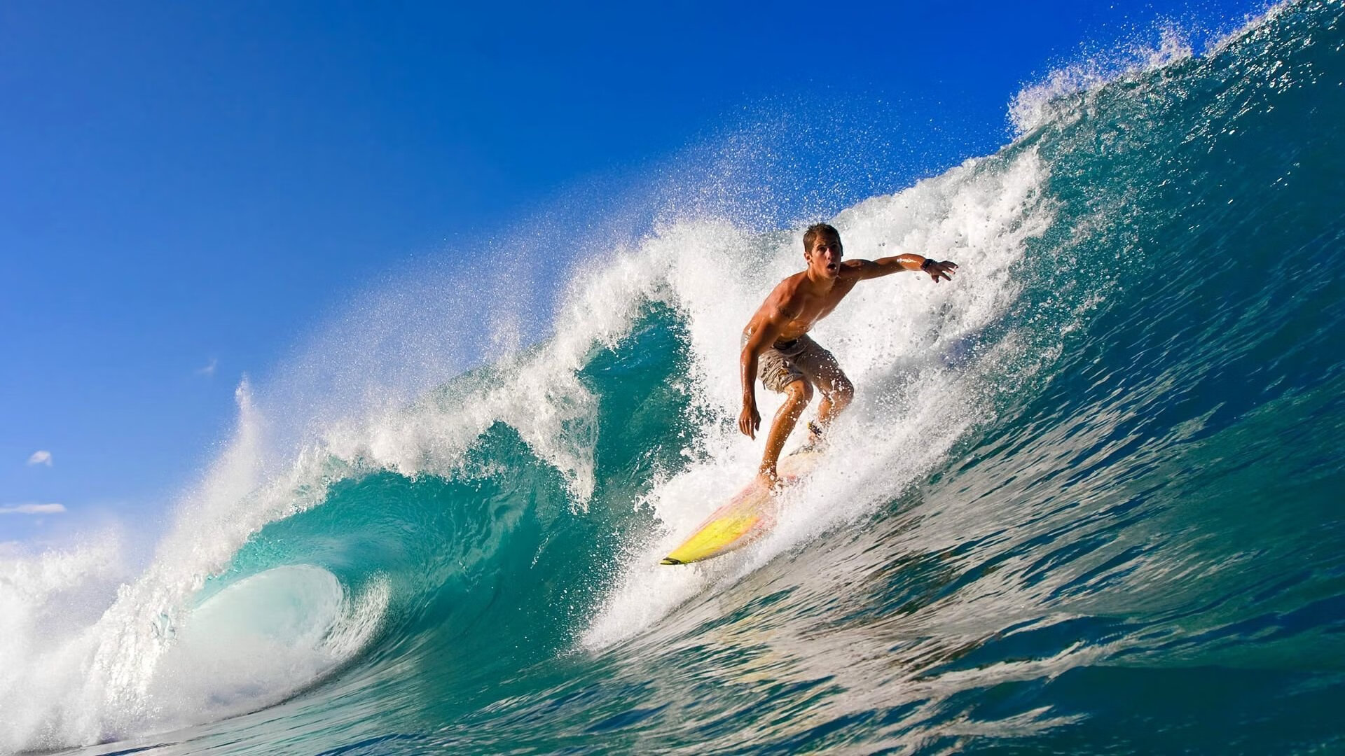 开云体育网页版-赛季中最大悬念：冠军悬念持久战，冠军毫无悬念